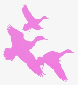 Duck Cartoon Png Transparent Images - Ducks Flying Silhouette, Png Download, Transparent PNG