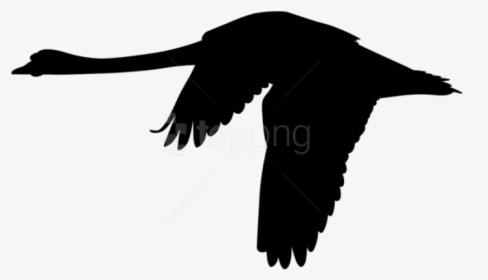 Free Png Flying Swan Silhouette Png Png - Flying Swan Clip Art, Transparent Png, Transparent PNG