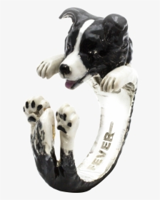 Border Collie Ring, HD Png Download, Transparent PNG