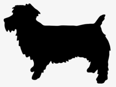 Border Collie Rough Collie Malinois Dog Belgian Shepherd - Cavalier King Charles Spaniel Vector Silhouette, HD Png Download, Transparent PNG