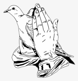 Transparent Worship Hands Png - Prayer Hands With Dove, Png Download, Transparent PNG