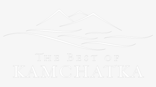 Sketch, HD Png Download, Transparent PNG