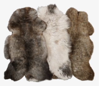 Fur Clothing, HD Png Download, Transparent PNG