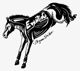 Mane, HD Png Download, Transparent PNG