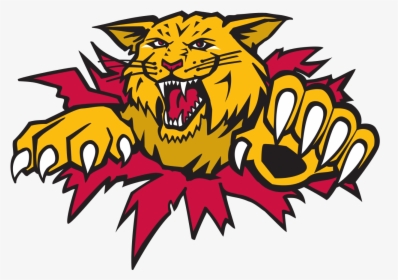 Moncton Wildcats Logo, HD Png Download, Transparent PNG