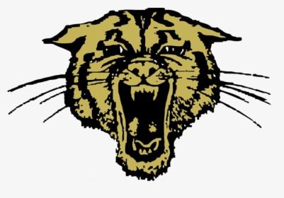 Trumann Wildcats Clipart , Png Download - Bearcat Douglas Wyoming High School, Transparent Png, Transparent PNG