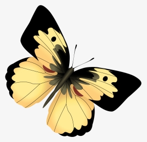 Clipart Butterfly Awareness - Yellow And Black Butterfly Png, Transparent Png, Transparent PNG