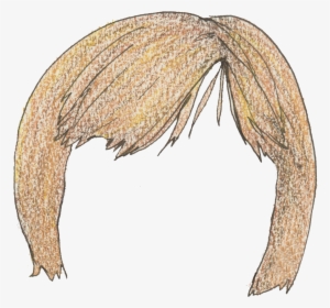 Insect, HD Png Download, Transparent PNG