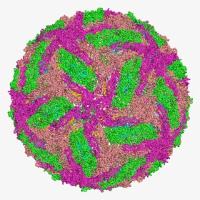 Image Depicting Dengue Virus - Representação Do Virus Da Dengue, HD Png Download, Transparent PNG