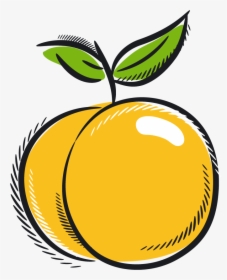 Clip Art, HD Png Download, Transparent PNG