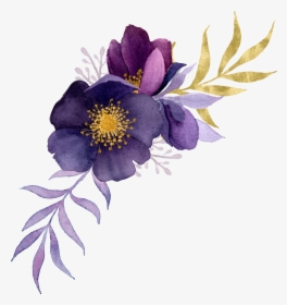 Common Peony, HD Png Download, Transparent PNG