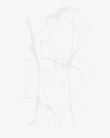Sketch, HD Png Download, Transparent PNG
