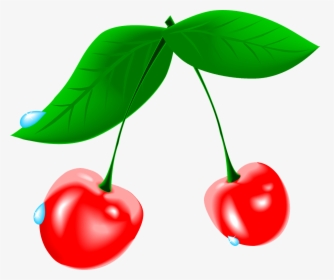 Cherry Cliparts, HD Png Download, Transparent PNG