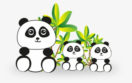 Panda, Panda Bear, Bear, Endangered, China - Lập Dàn Ý Miêu Tả Một Cảnh Đẹp Ở Địa Phương Em, HD Png Download, Transparent PNG