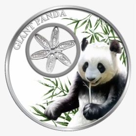 Snowflake Panda Bear 1oz Silver Filigree Coin Tokelau - Coin, HD Png Download, Transparent PNG