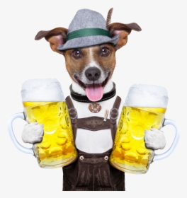 Oktoberfest Cuisine German Photography Dog Beer Holding - Happy Birthday Beer Dog, HD Png Download, Transparent PNG