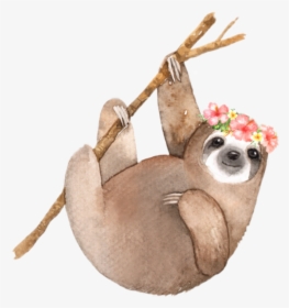Sloth Clipart Watercolor - Sloth Invitations, HD Png Download, Transparent PNG