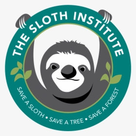 Sloth Institute Sloth, HD Png Download, Transparent PNG
