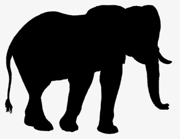 Indian Elephant African Elephant Silhouette Clip Art - Elephant, HD Png Download, Transparent PNG