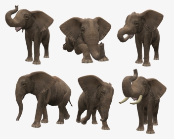 Png Format Png Elephant, Transparent Png, Transparent PNG