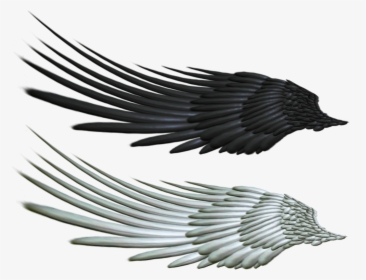 Good And Evil Angel Wings, HD Png Download, Transparent PNG