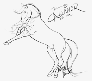 Transparent Jousting Lance Clipart - Rearing Horse Lineart, HD Png Download, Transparent PNG