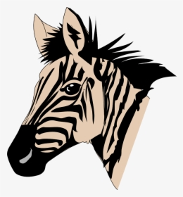 Zebra Head Png - Face Of Zebra To Color, Transparent Png, Transparent PNG