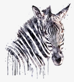 Dripping Zebra Print, HD Png Download, Transparent PNG