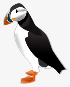 Atlantic Puffin Png - Puffin Clipart, Transparent Png, Transparent PNG