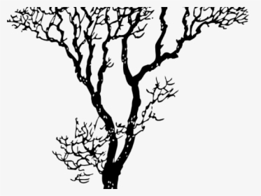 Dogwood Tree Cliparts - Great Sketch Mothers Day, HD Png Download, Transparent PNG