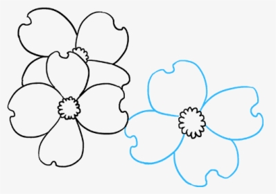 How To Draw Dogwood Flowers - Line Art, HD Png Download, Transparent PNG