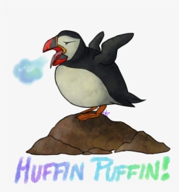 Huffin Puffin, HD Png Download, Transparent PNG