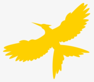 Transparent Mockingjay Png - Perching Bird, Png Download, Transparent PNG