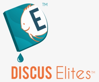 Logo - Graphic Design, HD Png Download, Transparent PNG