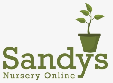 Sandys Nursery Online - Flowerpot, HD Png Download, Transparent PNG