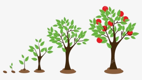 Image - Plant Growth Clipart, HD Png Download, Transparent PNG
