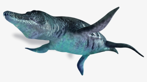 Download Ichthyosaur Png Photo - Liopleurodon Png, Transparent Png, Transparent PNG