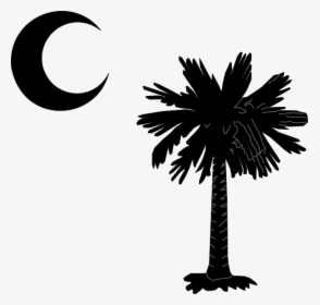 South Carolina Palm Tree Logo, HD Png Download, Transparent PNG