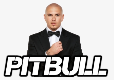 Transparent Pitbull Singer Png - Pitbull, Png Download, Transparent PNG