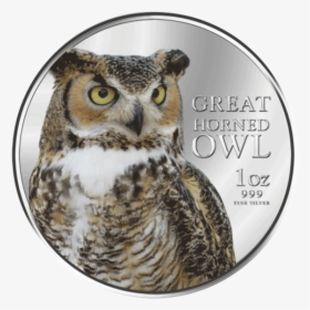 Niue 2013 2$ Great Horned Owl Birds Of Prey Proof Silver - Bird Of Prey, HD Png Download, Transparent PNG