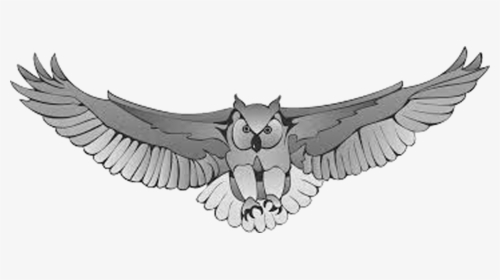Great Horned Owl Harry Potter Drawing Clip Art - Great Horned Owl Png Drawing, Transparent Png, Transparent PNG