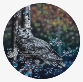 Lachri Fine Art Owl, HD Png Download, Transparent PNG