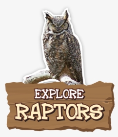 Great Horned Owl, HD Png Download, Transparent PNG
