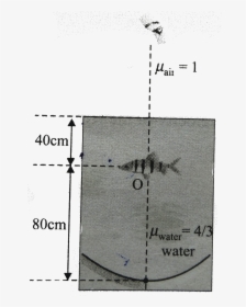 Diagram, HD Png Download, Transparent PNG
