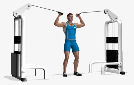 Biceps Png -the Overhead Cable Curl Is Useful To Train - Bicipiti Ai Cavi Alti, Transparent Png, Transparent PNG