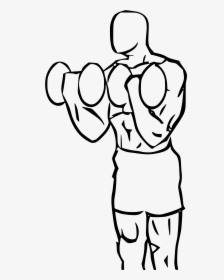 Biceps Drawing Cartoon Clip Art Royalty Free Download - Bicep Curl Cartoon Png, Transparent Png, Transparent PNG
