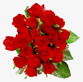 8dx Wa16 Quirkeee Roses Floribunda Cafe Garden Clipart - Криштиану Роналду Поздравляет, HD Png Download, Transparent PNG