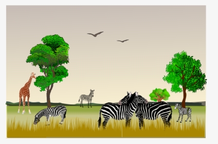 African Game Reserve Clip Arts - Nature Reserve Clipart, HD Png Download, Transparent PNG