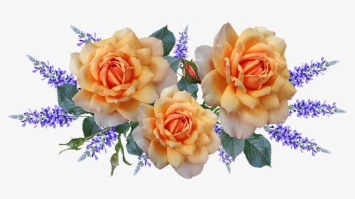 Flowers, Roses, Arrangement, Perfume, Garden, Nature - Garden Roses, HD Png Download, Transparent PNG