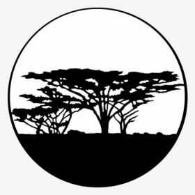 Apollo Trees - Africa - Me-4117 - Silhouette, HD Png Download, Transparent PNG